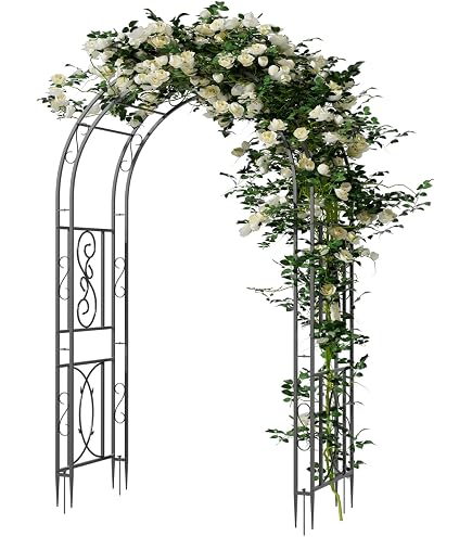 小林金物 フラワーアーチ 幅174cm 高さ202cm (延長ネットx2付属) Amazon | 小林金物 グリーンガーデン フラワーアーチ 幅174×奥行49×高